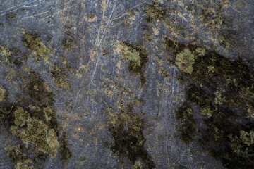 Texture of wet stone covered with moss. Background image of macro photography texture stone