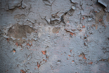 Texture of an old wall covered with paint. Background image of a worn paint coated surface