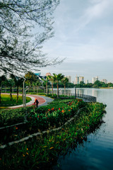 KUALA LUMPUR, MALAYSIA - JANUARY 10TH, 2020. Landscape Design at Taman Tasik Titiwangsa