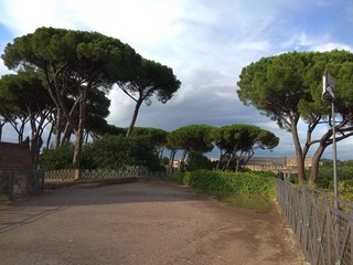 View of the walking path in the park from Italian pines against the blue sky. Rome, Italy