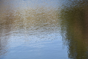 Fototapeta premium Wasser