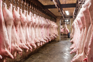 A lot of chopped fresh raw pork meat hanging and arrange and processing deposit in a refrigerator, in a meat factory.
