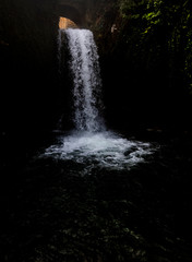 waterfall in forest