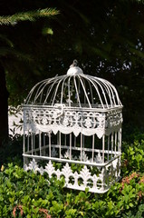 Decor in the garden