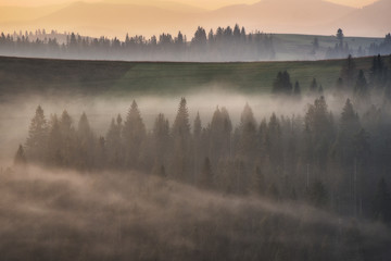 morning Carpathians. scenic sunrise in the mountains. autumn fog