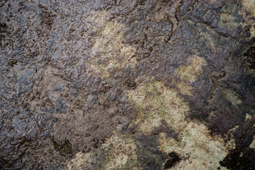 Texture of wet stone covered with moss. Background image of macro photography texture stone