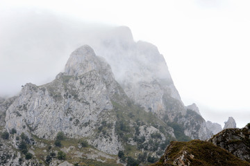 Obraz premium Montañas en el Parque Nacional de los Picos de Europa en Asturias