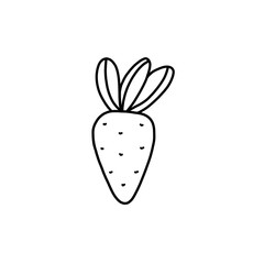 Carrot in a doodle style on a white background. Black and white illustration of a cute carrot. Isolated object for your design.