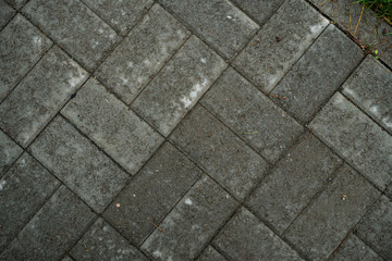 Texture of paving slabs overgrown with grass. Background image of a stratum stone