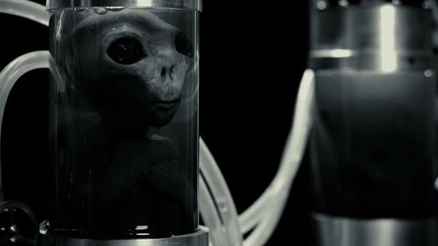 Alien in cylindrical glass vessels (flasks), in a liquid with air supply (bubbles), similar to a laboratory for experiments, similar to mutants, close-up, creepy