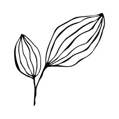 Simple green leaf tree elements.  Doodle for design, logo, greeting card. Hand drawn round frame with leaf and branches for summer and spring decoration. 