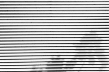 Abstract shadow of leaves on wall building texture background