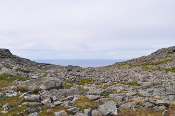 Fototapeta premium View to the Norwegian sea and Vega archipelago from a Gullsvågfjellet Mountain on Vega island, Norway on sunny summer day