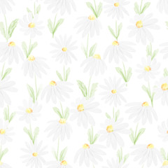 watercolor white daisy seamless pattern eps10 vectors illustration