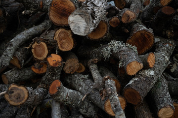 Stove firewood set. Logs texture II