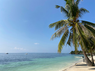 A beautiful sandy beach with palm trees on which green coconuts grow. White boats in a sea of blue and turquoise background a bright blue sky. Coast with large stones. Summer sunny weather.