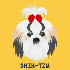Dog face on a colored background. Shih Tzu breed. Flat picture. Illustration in the style of pop art.