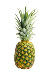 One whole pineapple isolated on white background
