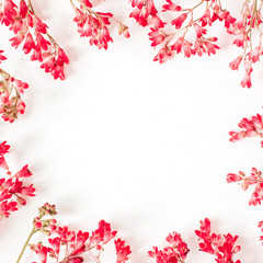 Colorful red wildflowers on white background. Flat lay, top view floral frame border with copy space mockup. Valentine's day concept.