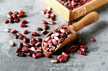 Raw beans in a wooden scoop on a gray background