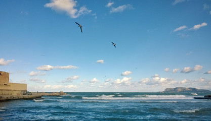 Il mare di Palermo