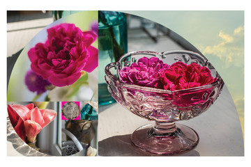 Variety of colourful flowers in different kinds of moods and settings arranged and formatted in a...
