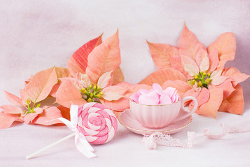 Fototapeta na wymiar pink poinsettia, candy on sticks and pink hearts from satin in a pink cup