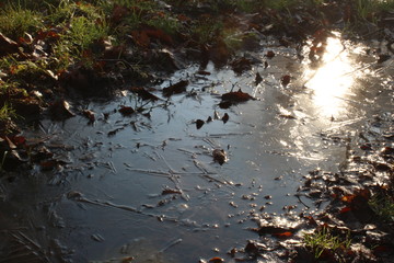 Gefrorene Pfütze im Spätherbst