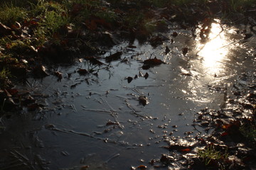 Gefrorene Pfütze im Spätherbst