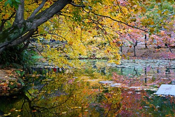 蘇州天平山の紅葉と池