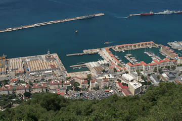 Harbor