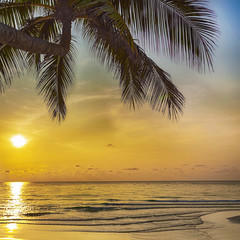 Obraz na płótnie Canvas beach at sunset