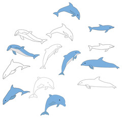  set of dolphin coloring book © zolotons