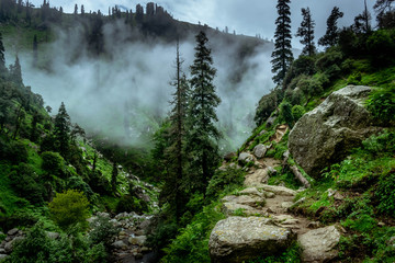 Old trail leading to Kareri lake, a glacial lake in Himanchal Pradesh in Indian Himalayas