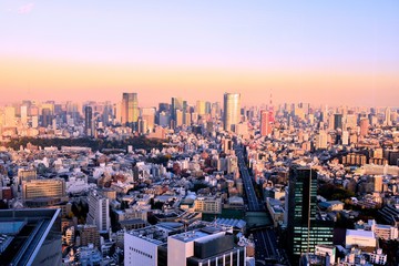 Fototapeta premium 東京の風景