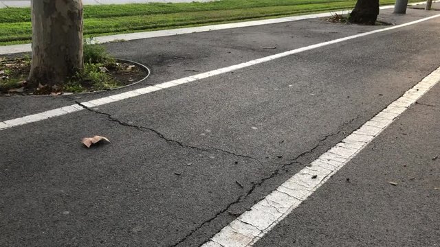 bike lane: after a few seconds a person's feet appear to be pedaling