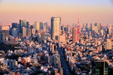 Obraz premium 東京の風景