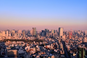 Obraz premium 東京の風景