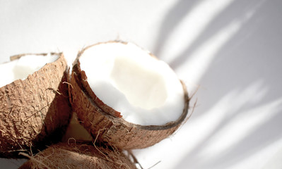 Coconuts and green twig with contrasting shadows on a white background. The concept of natural nutrition and natural cosmetics. Top view. Copy space.