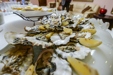 Fresh open oyster on a white plate. in the restaurant appetizer