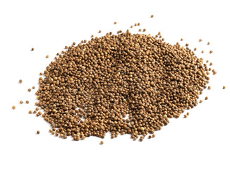 Naklejka premium Coriander seed isolated on white background.