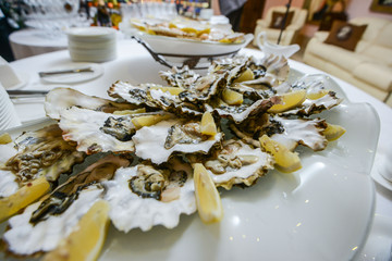 Fresh open oyster on a white plate. in the restaurant appetizer