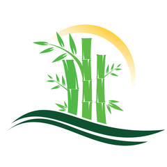 Fototapeta premium Template design logo bamboo Vector illustration of icon