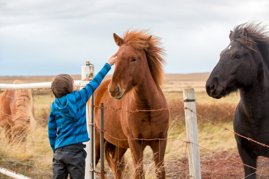 Beautiful child and horses in the nature, early in the morning on a windy autumn day