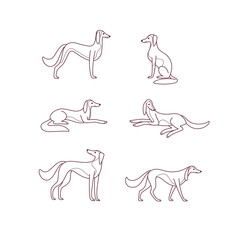 Cartoon dog icon set. Different poses of greyhound. Vector illustration for prints, clothing, packaging, stickers.