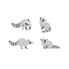 Cartoon raccoon icon set. Different poses of cartoon polar fox. Good illustration for prints, clothing, packaging, stickers.