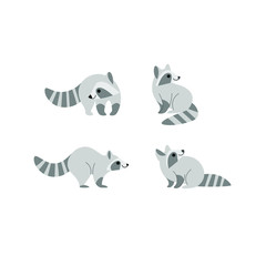 Cartoon raccoon icon set. Different poses of cartoon polar fox. Vector illustration for prints, clothing, packaging, stickers.