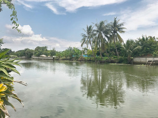 Beautiful scene of river with reflection of coconut tree and blue sky background