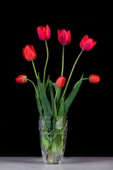 bouquet of red tulips in a glass vase on a black background close up