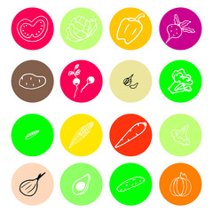 Set of vegetables icons or stickers in doodle style in  vector	